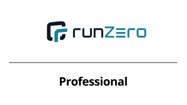runZero Professional
